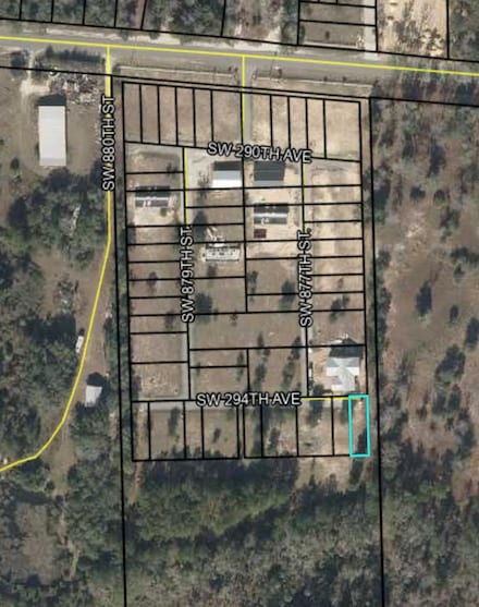 0 SW 869th Loop, Steinhatchee, FL 32359