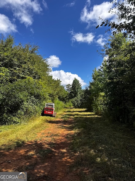 0 Old Potash Rd Unit 10636176, Cedartown, GA 30125