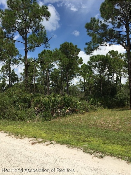 1159 Macaw Ave, Lake Placid, FL 33852
