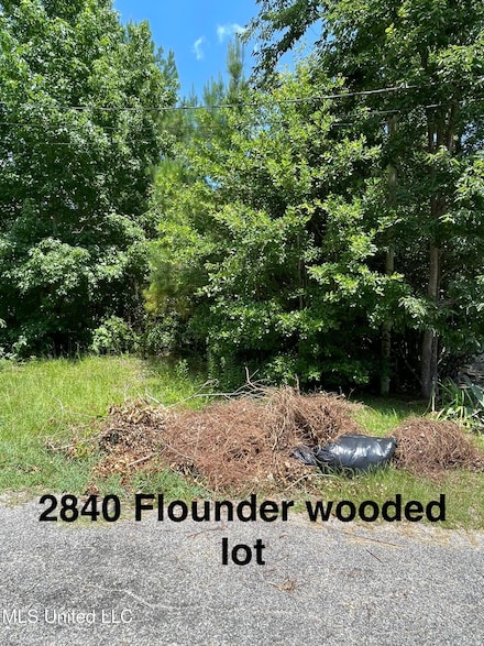 2840 Flounder Cir, Gautier, MS 39553