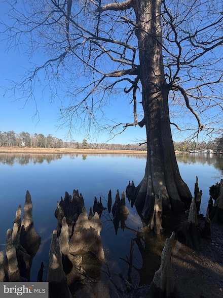 339 Neck-O-land Rd, Williamsburg, VA 23185