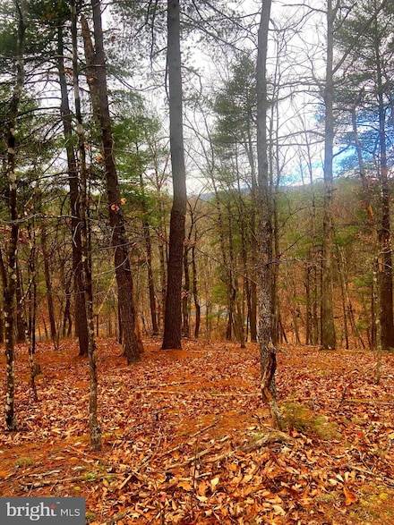 0 King St Unit VASH2013114, Basye, VA 22810