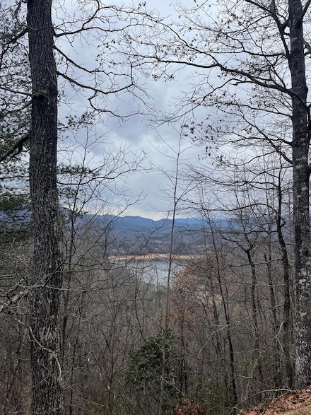 100-11 Ridgeview Rd, Bryson City, NC 28713