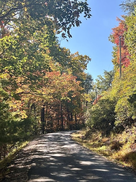0 Oglethorpe Mountain Rd Unit 411265, Jasper, GA 30143