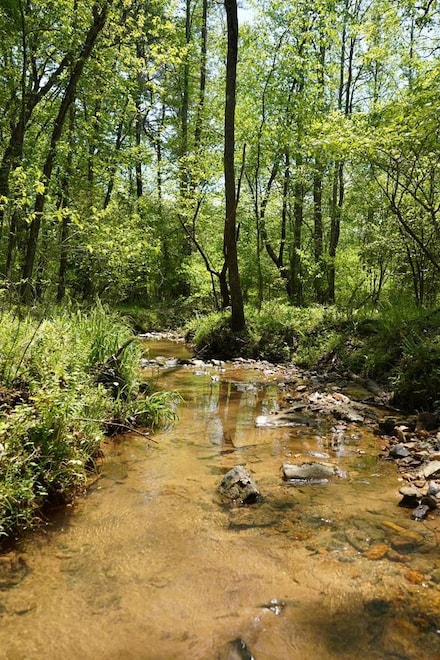 00 Rizzitello Ln, Blairsville, GA 30512