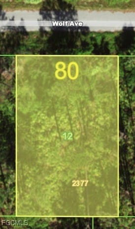 13337 Wolf Ave, Port Charlotte, FL 33953