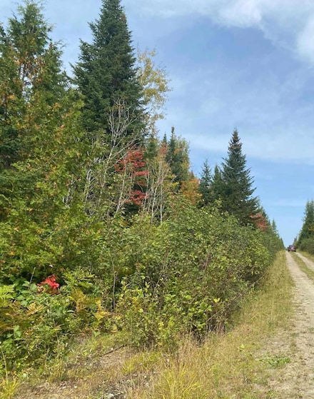 Lot 82.3 Stockholm Rd, Connor Unorganized Territory, ME 04762