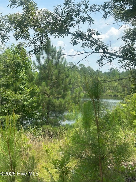 515 Lakeview Ln, Cameron, NC 28326