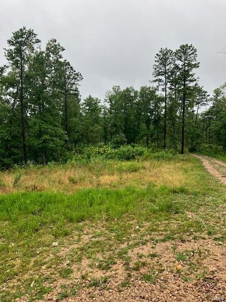 410 Madison St, Fredericktown, MO 63645