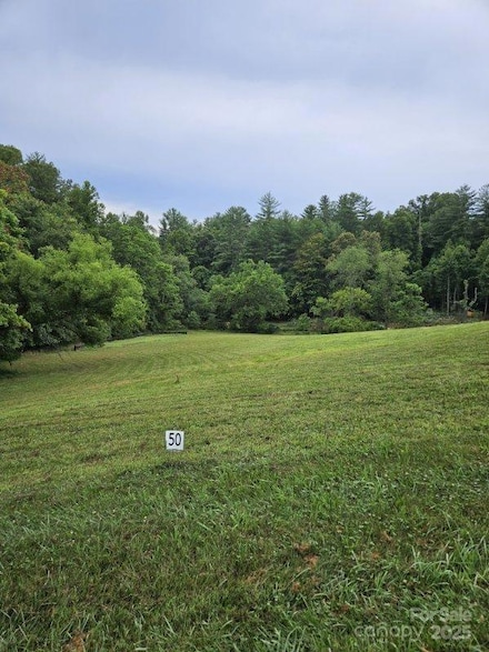 9999 Settlers Trail Unit 50, Mars Hill, NC 28754