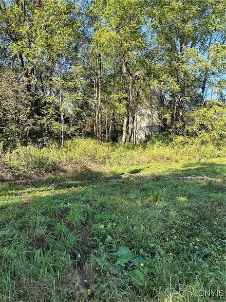 0 Chase Rd, Fulton, NY 13069