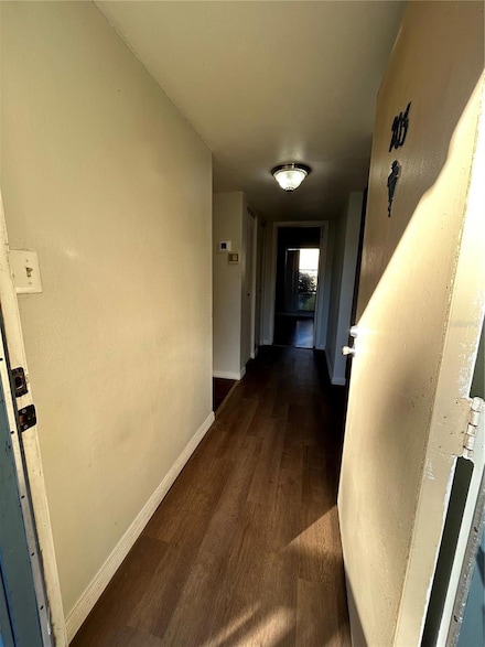 2811 SW Archer Rd Unit X203, Gainesville, FL 32608