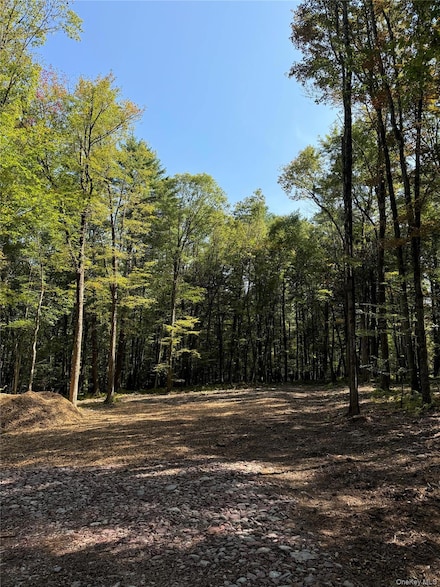 Lot 2 Evergreen Ln, Tusten, NY 12764