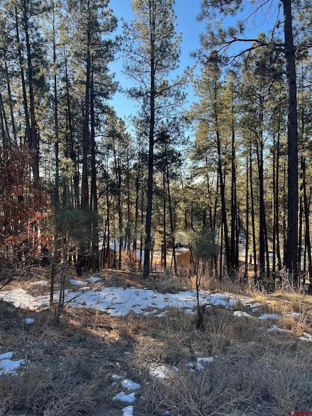 567, 581, 591 Mesa Dr, Bayfield, CO 81122