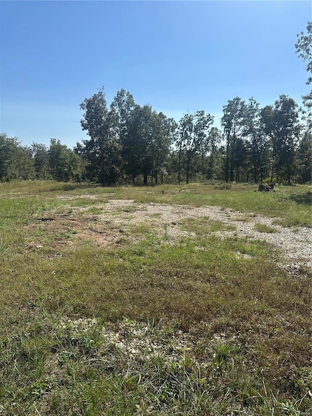 342 Ripley 142e-28a, Fairdealing, MO 63939