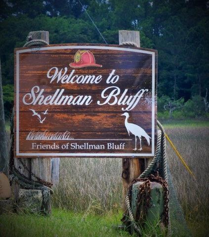 9a Shellman Bluff Rd NE, Shellman Bluff, GA 31331