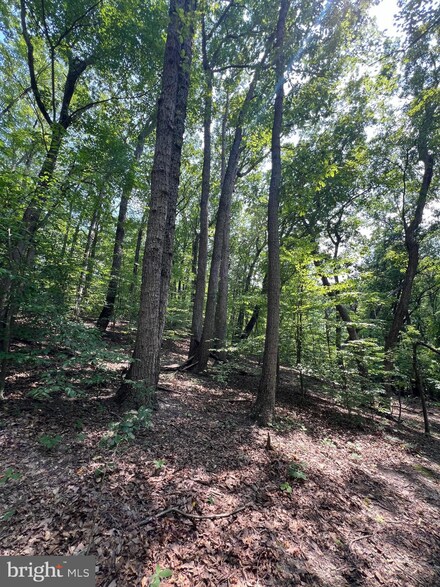 6 Old Us Highway 1, Stafford, VA 22554