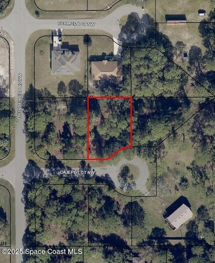 1817 Cajeput Ct NW, Palm Bay, FL 32907