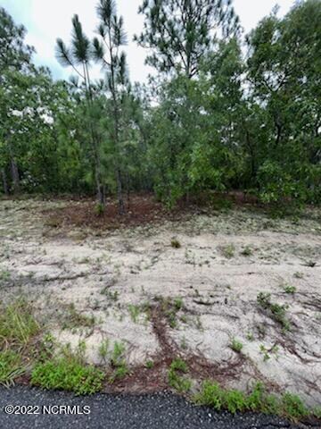 344 Okeechobee Rd, Wilmington, NC 28412