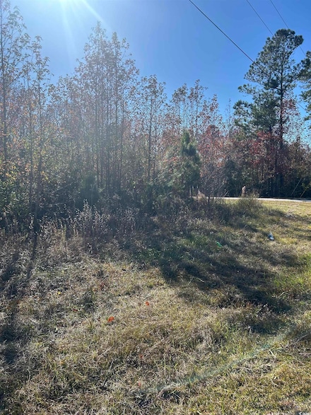 TBD Apple Valley Rd, Loris, SC 29569