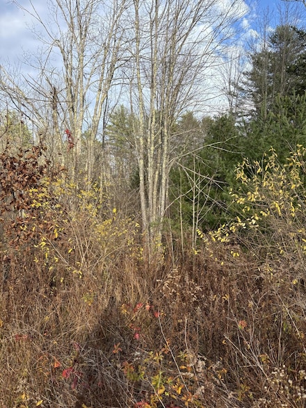 TBD Log Cabin, Kennebunkport, ME 04046