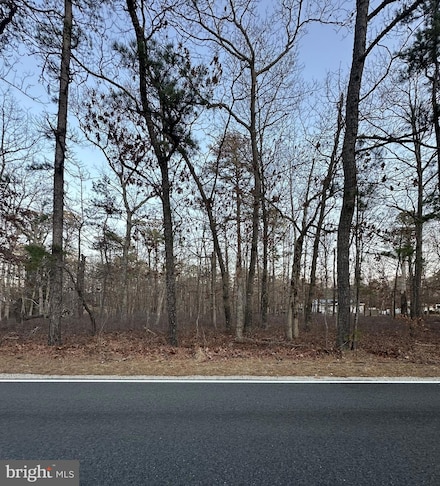 212 Pine Ave, Egg Harbor Township, NJ 08234