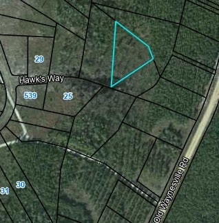 22 Hawk's Way, Waynesville, GA 31566