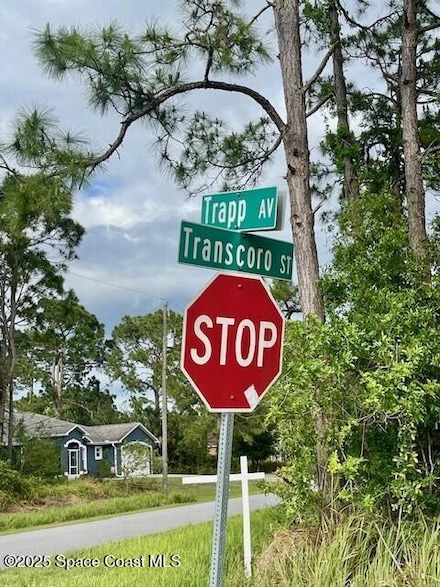 Unassigned Transcoro St and Trapp Ave, Palm Bay, FL 32909