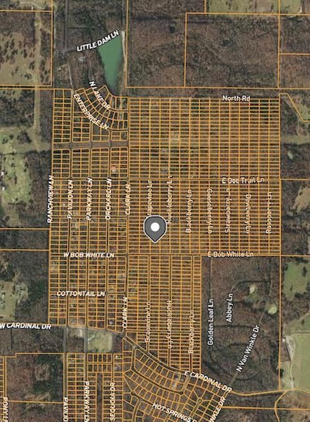 1312 Grapevine Ln, Horseshoe Bend, AR 72512