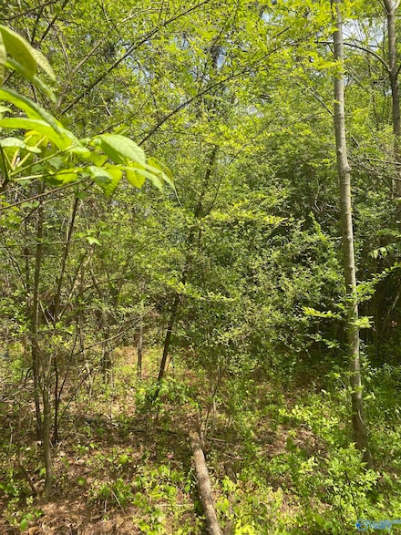 2323 Clayton Ave, Gadsden, AL 35904