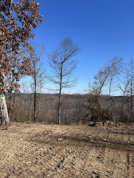 1157 Deer Run Rd, Lobelville, TN 37097