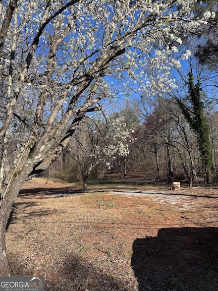 884 Dolly Nixon Rd, Senoia, GA 30276