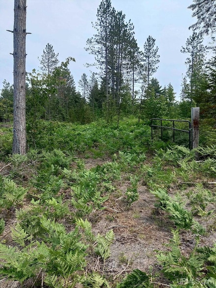 TBD Buckhaven Trail, Newberry, MI 49868