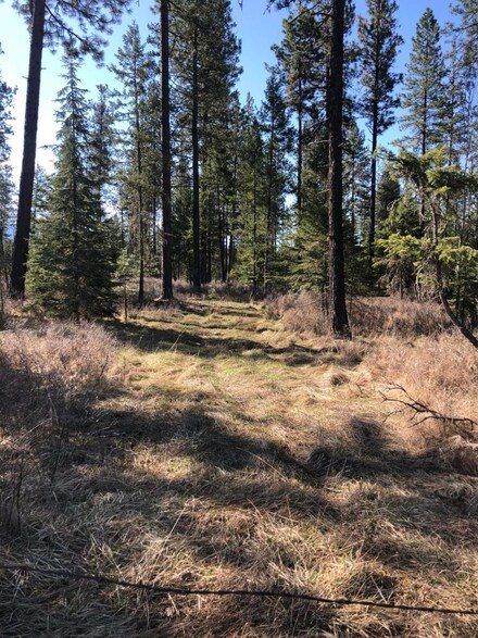 0 Timberlane Rd Unit 22105443, Ronan, MT 59864