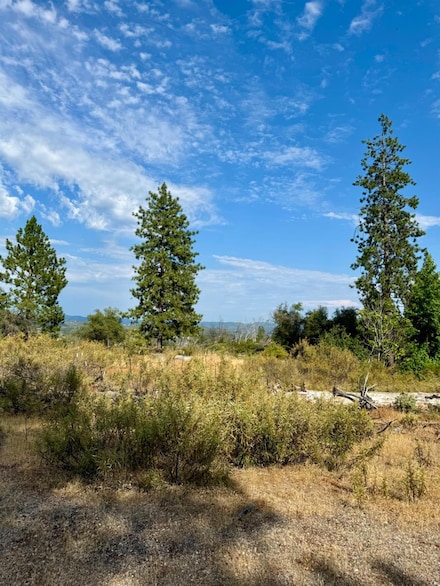 9741 Wendell Rd, Mountain Ranch, CA 95246