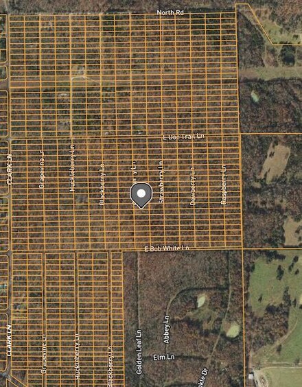 1306 Gooseberry Ln, Horseshoe Bend, AR 72512