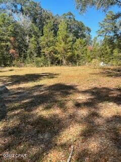 0 Hwy 79 Unit 733785, Vernon, FL 32462
