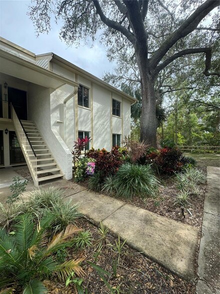 219 Cypress Ct, Oldsmar, FL 34677