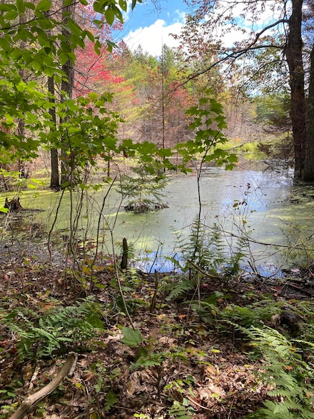 29084 Cr 455, McMillan, MI 49853