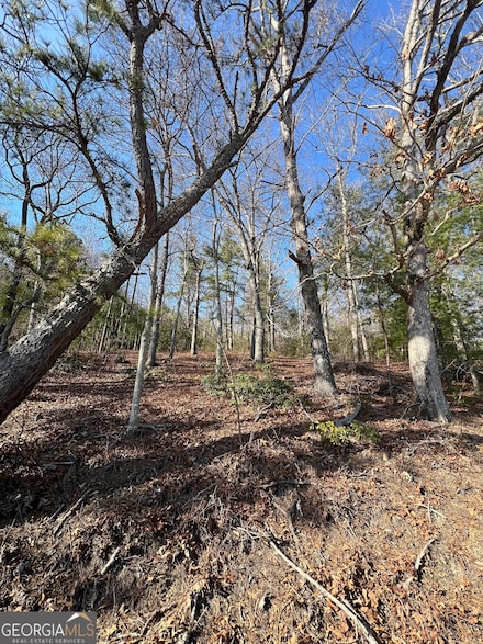 0 Edwards Way Unit 10422587, Dillard, GA 30537