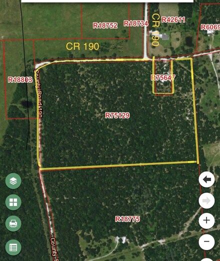 TBD County Road 190, Anderson, TX 77830