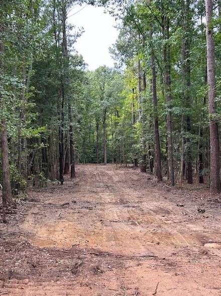 4540 Seymour Rd, Dalzell, SC 29040