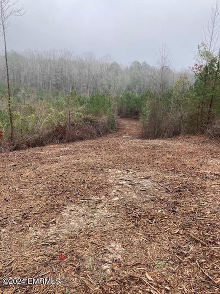 0 Bunk Newell Rd, Meridian, MS 39301