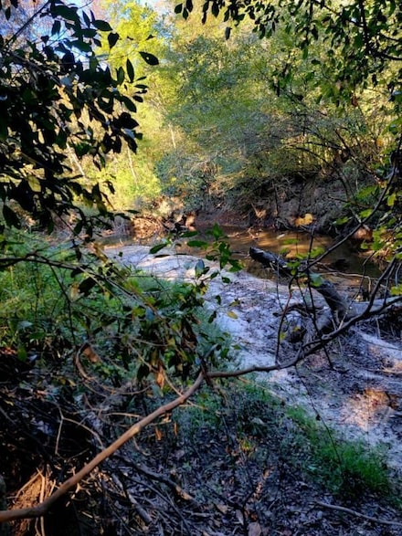 19 acres Walton Bridge Rd, Bruce, FL 32455