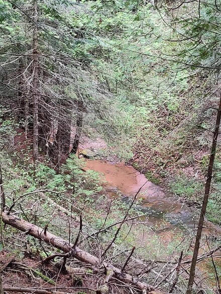 TBD Victoria Dam Rd, Rockland, MI 49960