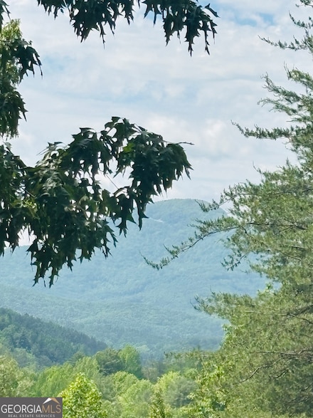 141 Rosen Strasse, Helen, GA 30545