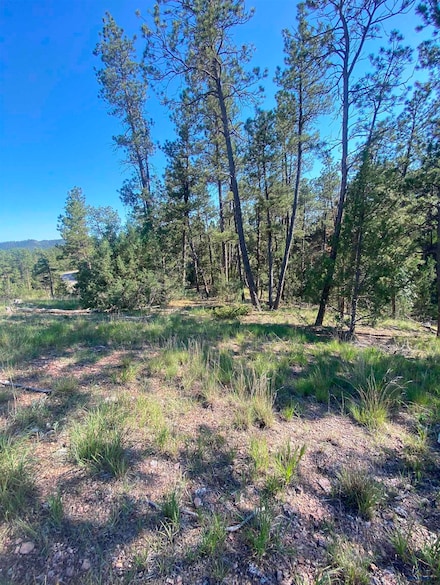 lot GC-57 Sandpiper Dr, Hot Springs, SD 57745