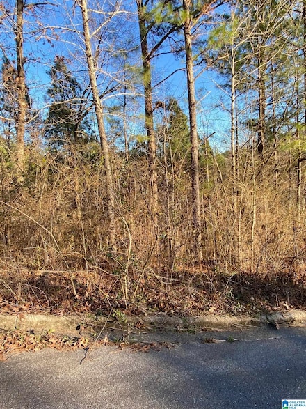 0 Woodland Hills Dr Unit 2 and 3 1310451, Springville, AL 35146