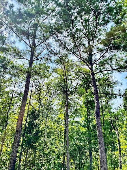 0 County Road 326 Unit 12814191, Smiths Station, AL 36877