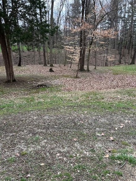 724 W Orange Rd, Delaware, OH 43015